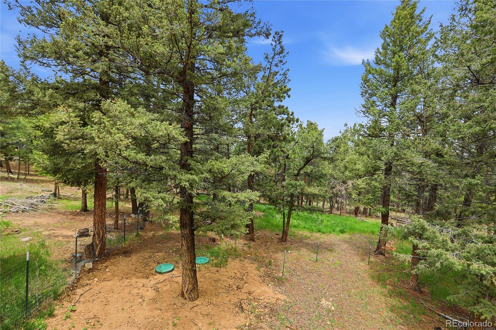 MLS Image #40 for 175  mount bailey drive,bailey, Colorado