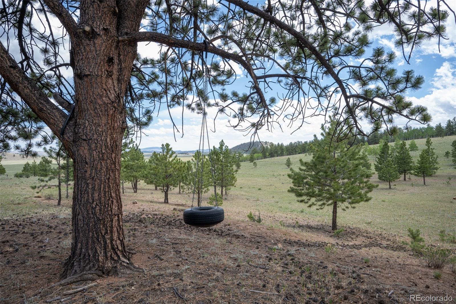 MLS Image #38 for 2883  wagon wheel road,hartsel, Colorado