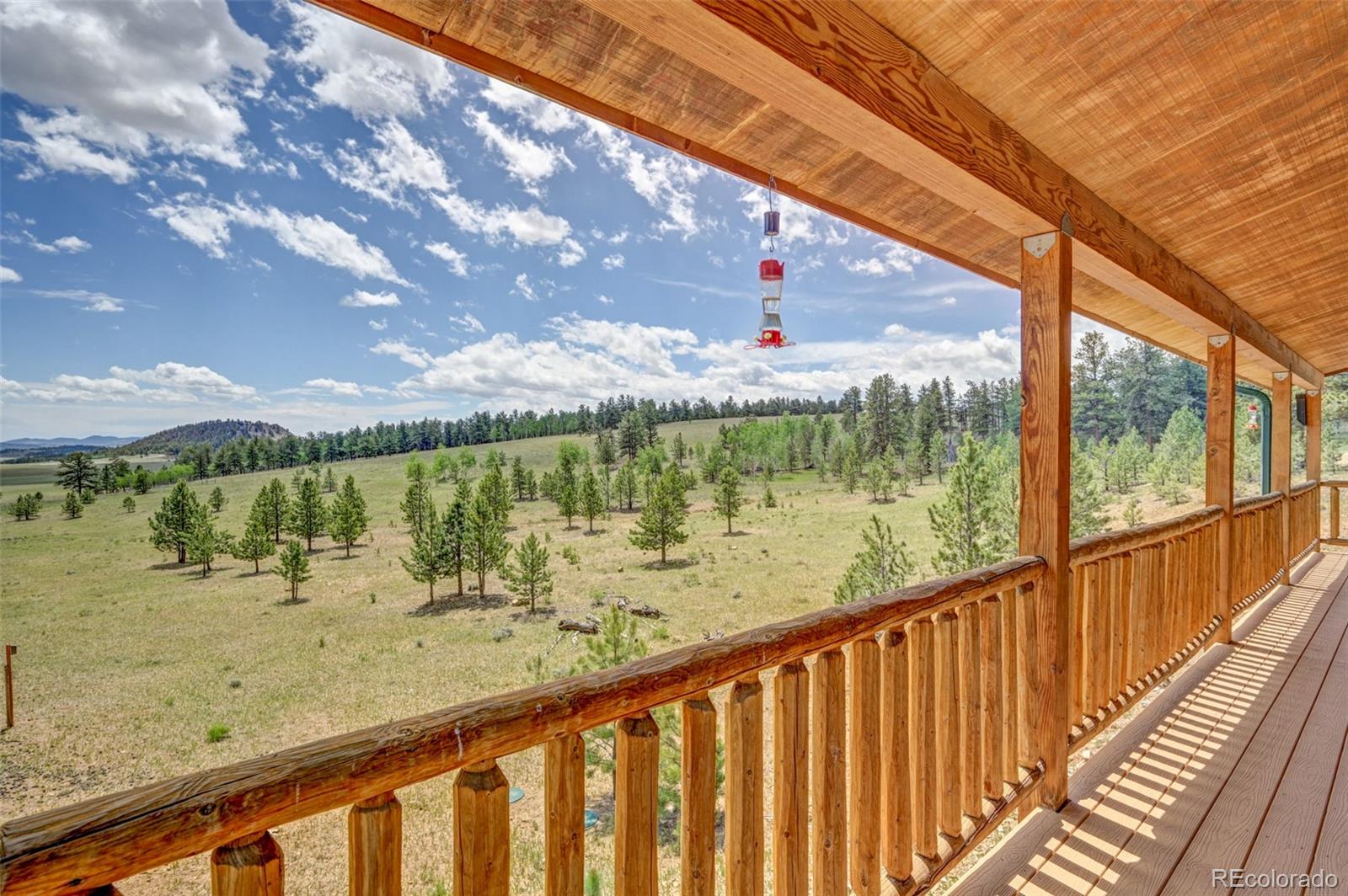 MLS Image #4 for 2883  wagon wheel road,hartsel, Colorado