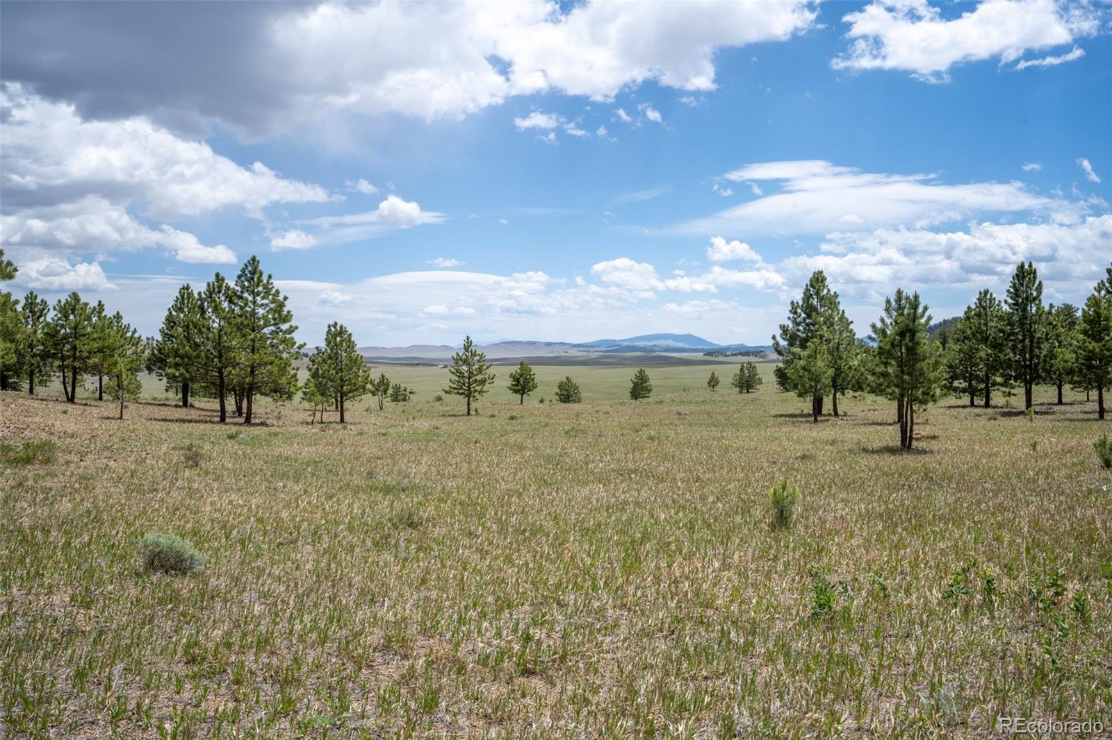 MLS Image #46 for 2883  wagon wheel road,hartsel, Colorado