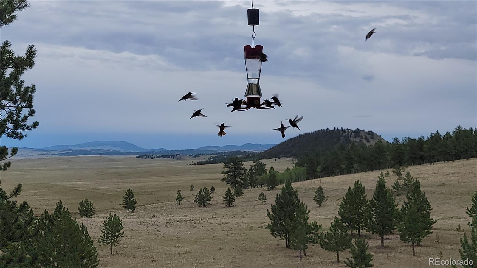MLS Image #5 for 2883  wagon wheel road,hartsel, Colorado