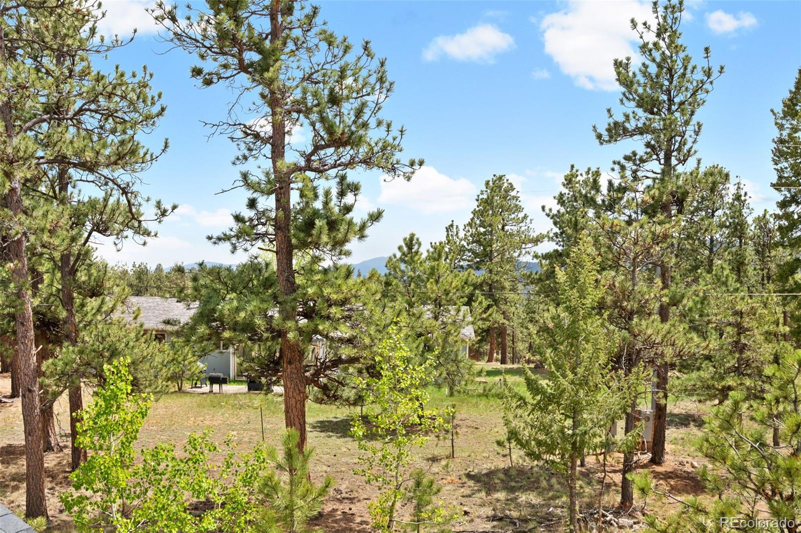 MLS Image #36 for 408  stage coach lane,bailey, Colorado