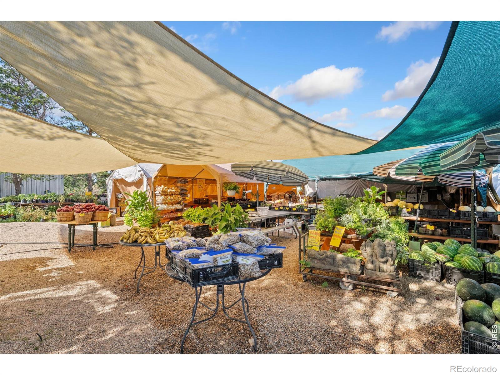 MLS Image #12 for 12155 n county road 15 ,wellington, Colorado