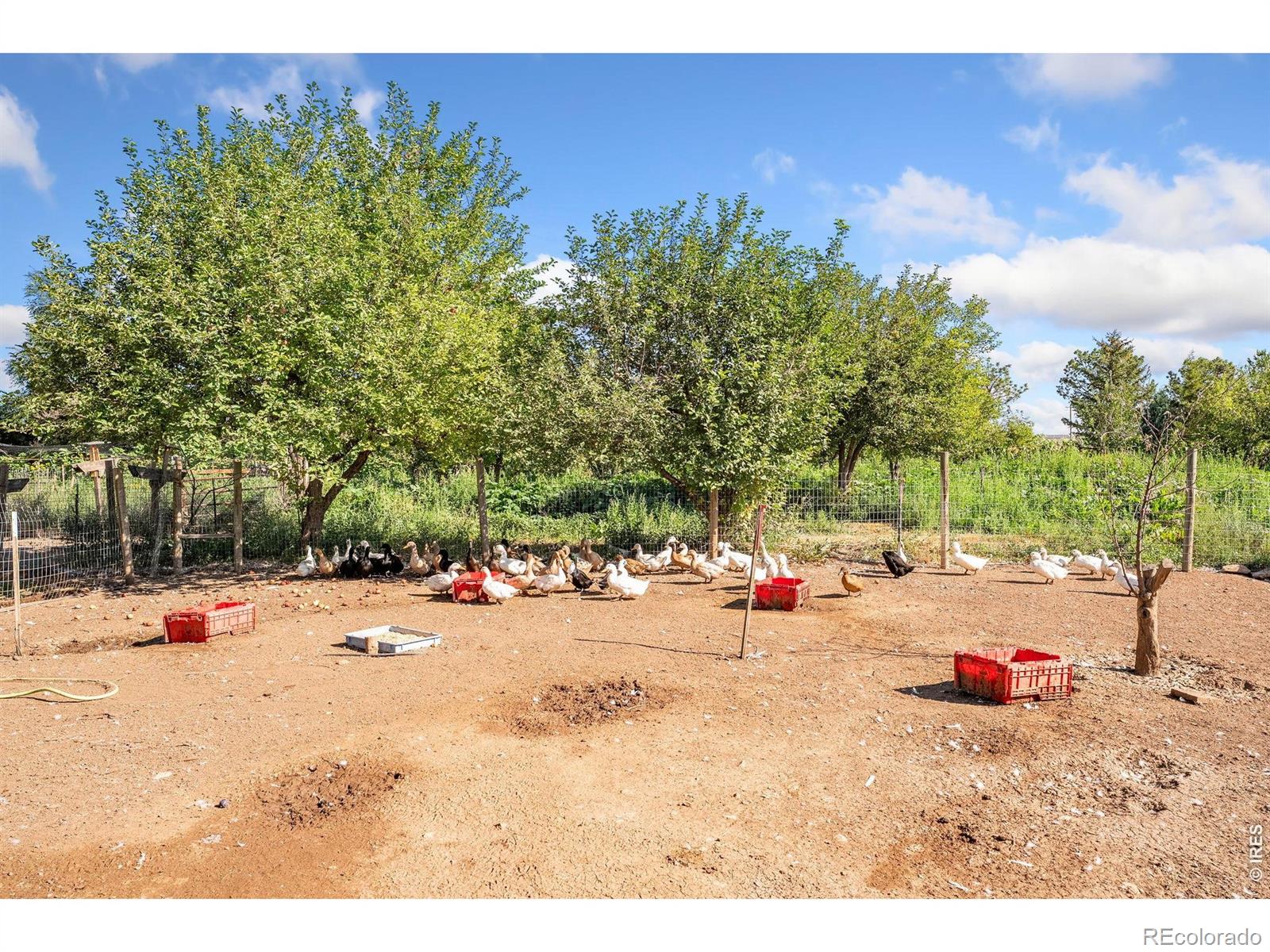 MLS Image #17 for 12155 n county road 15 ,wellington, Colorado