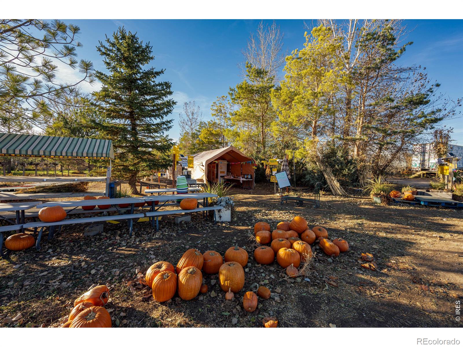 MLS Image #21 for 12155 n county road 15 ,wellington, Colorado