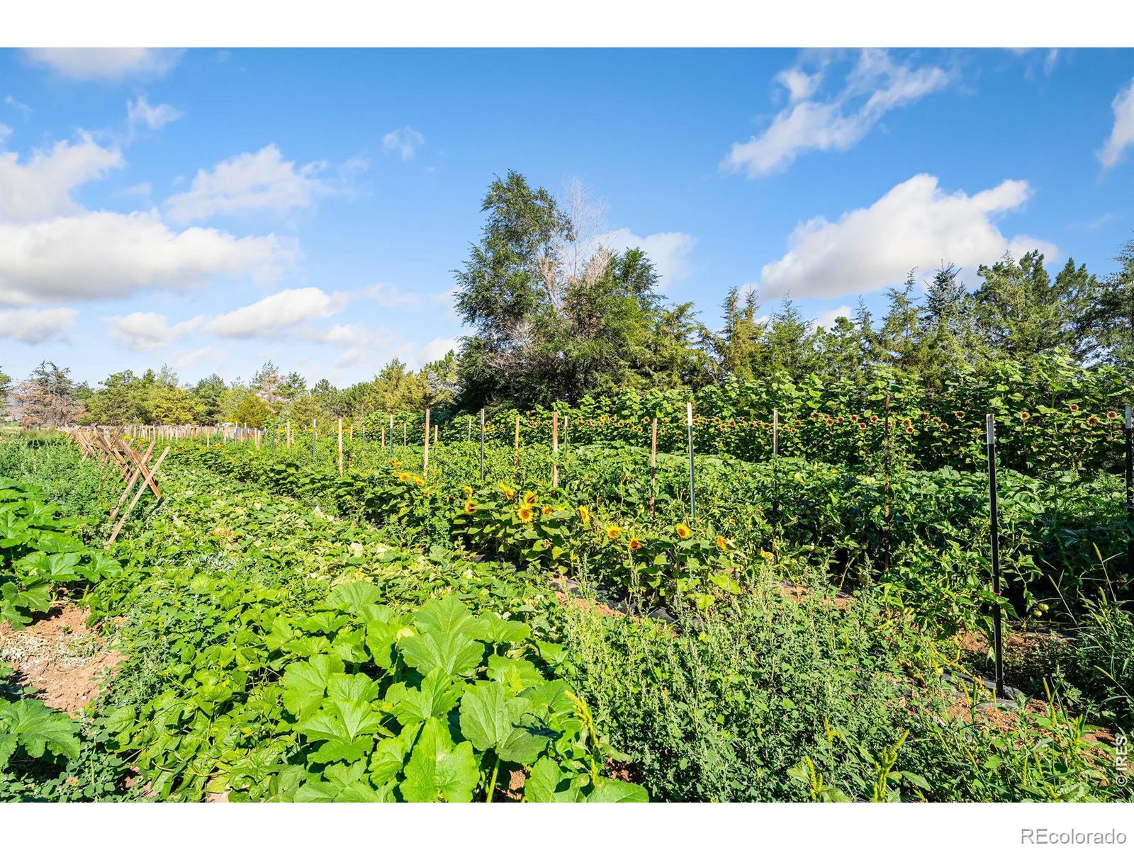 MLS Image #7 for 12155 n county road 15 ,wellington, Colorado