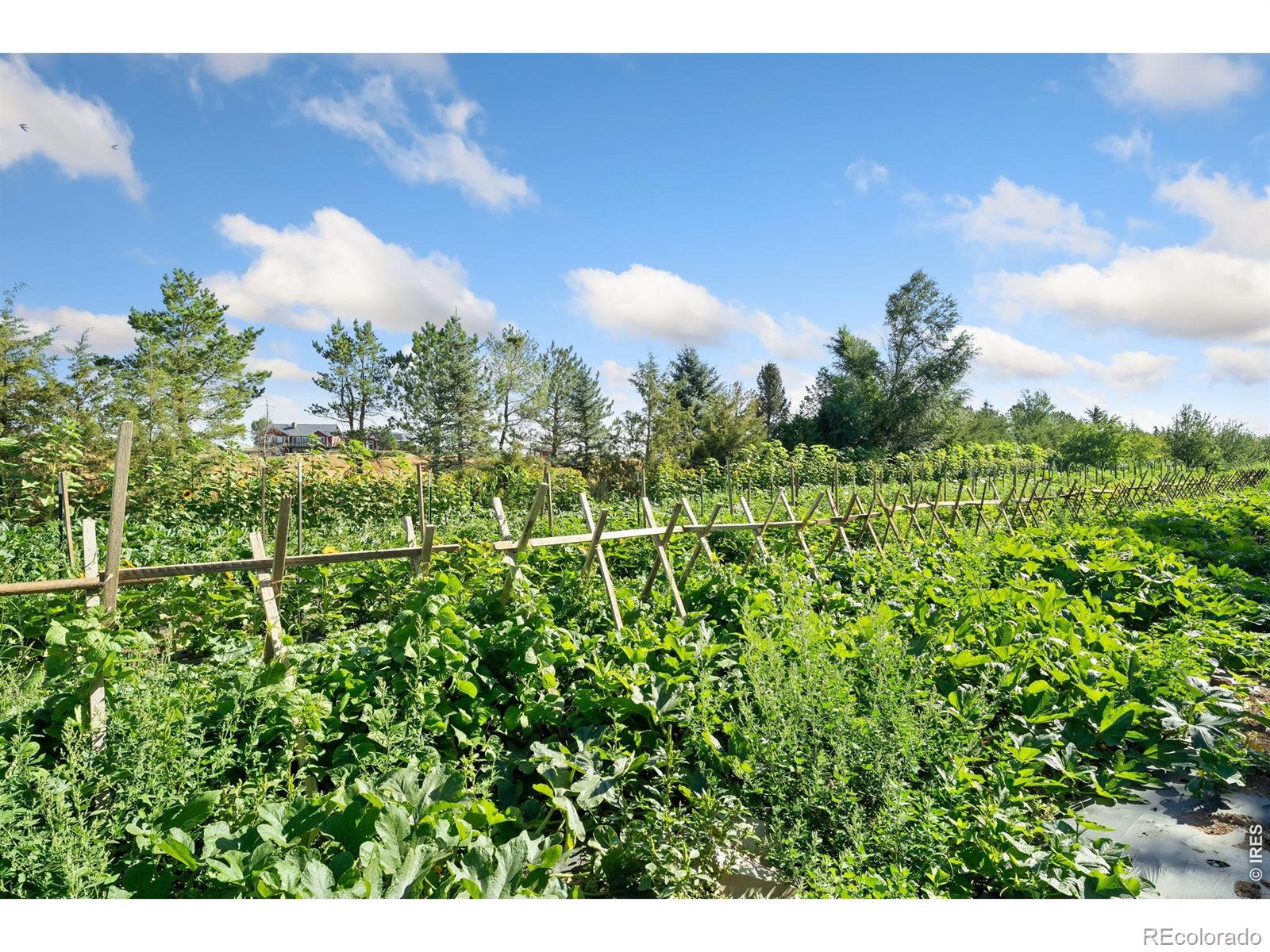 MLS Image #8 for 12155 n county road 15 ,wellington, Colorado