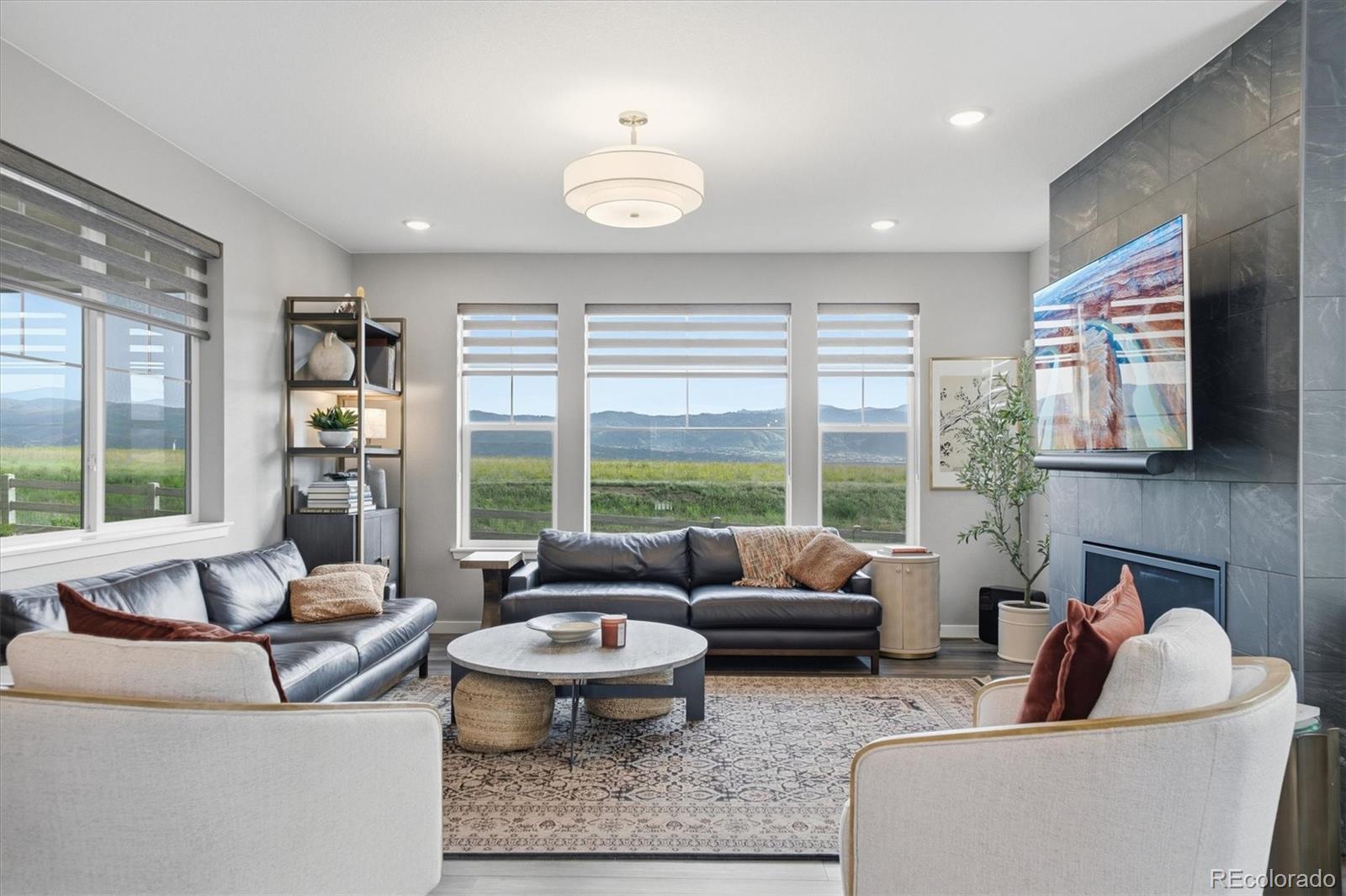 MLS Image #13 for 8701  big thompson street,littleton, Colorado
