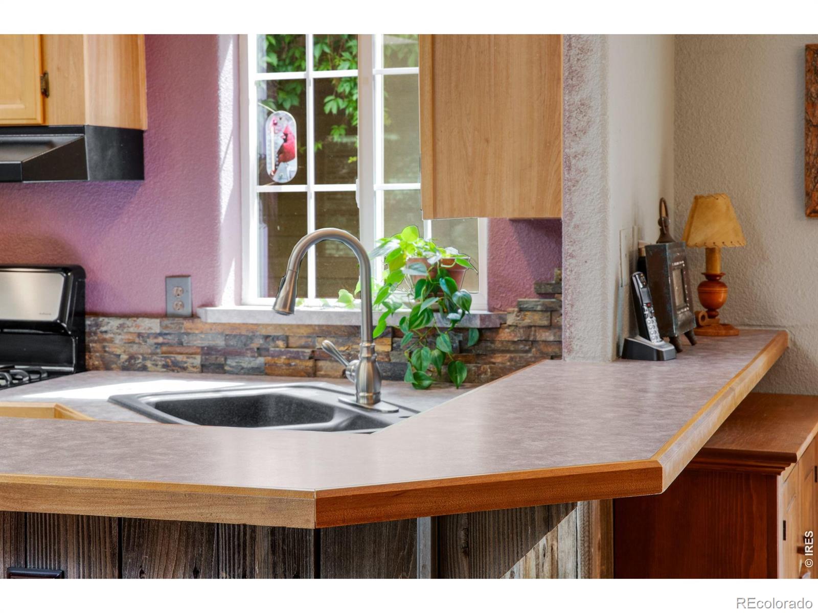 MLS Image #20 for 3704  buckskin trail,laporte, Colorado
