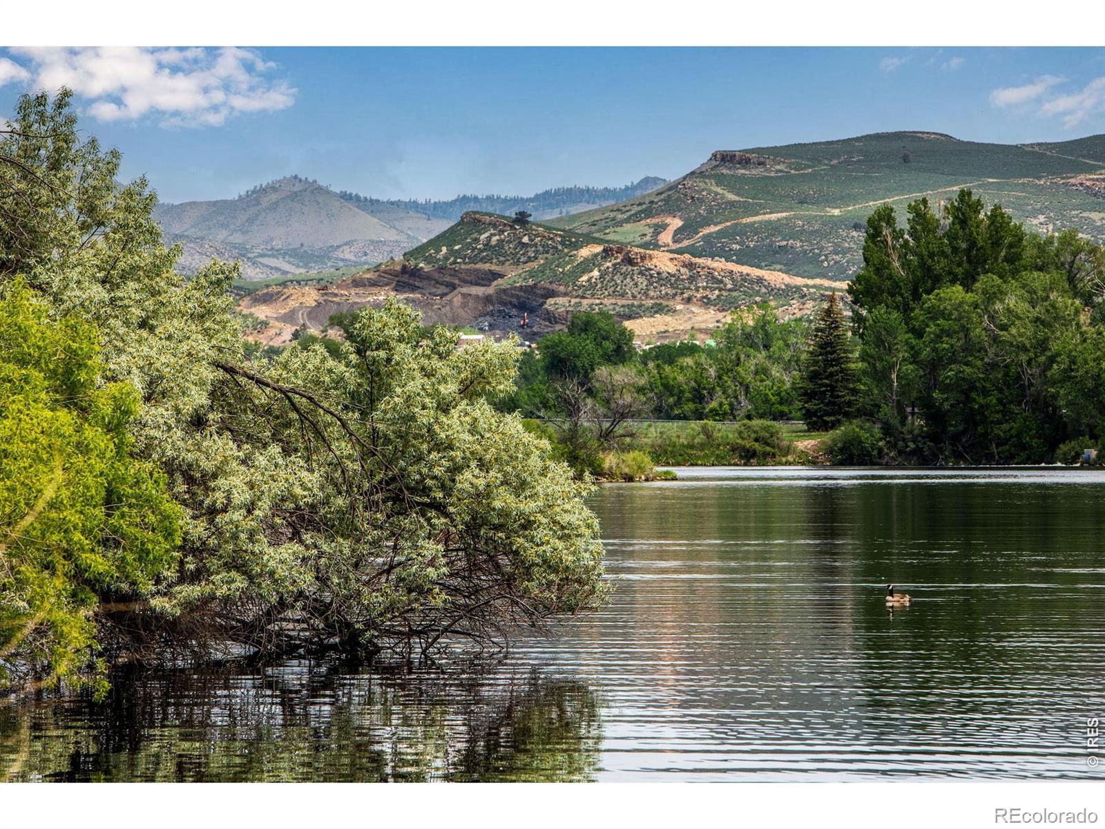 MLS Image #8 for 3704  buckskin trail,laporte, Colorado