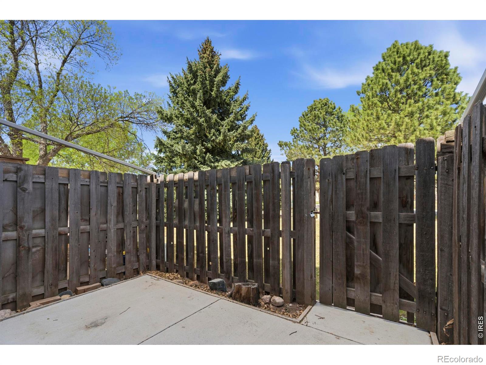 MLS Image #31 for 3005  ross drive,fort collins, Colorado