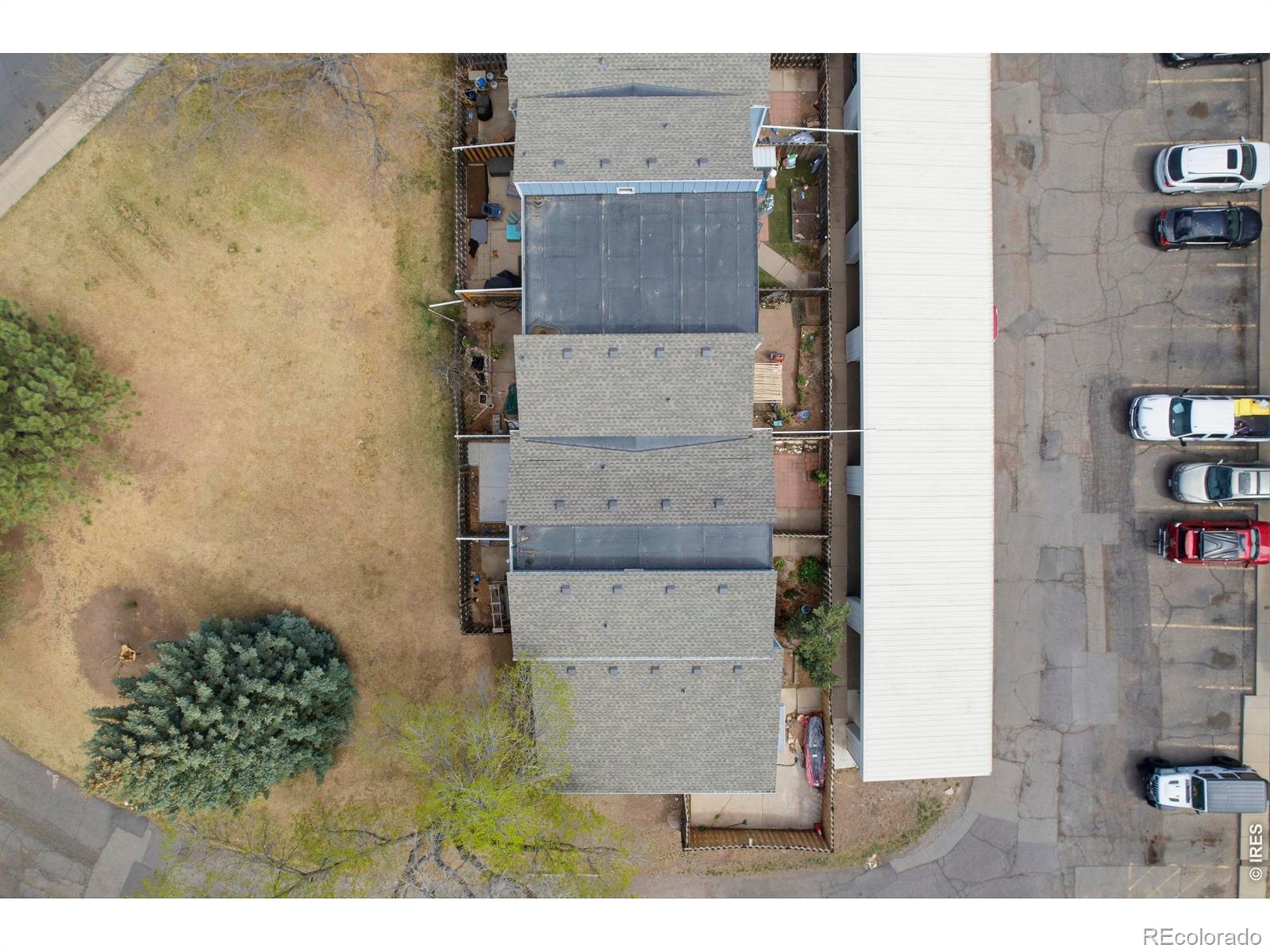 MLS Image #5 for 3005  ross drive,fort collins, Colorado