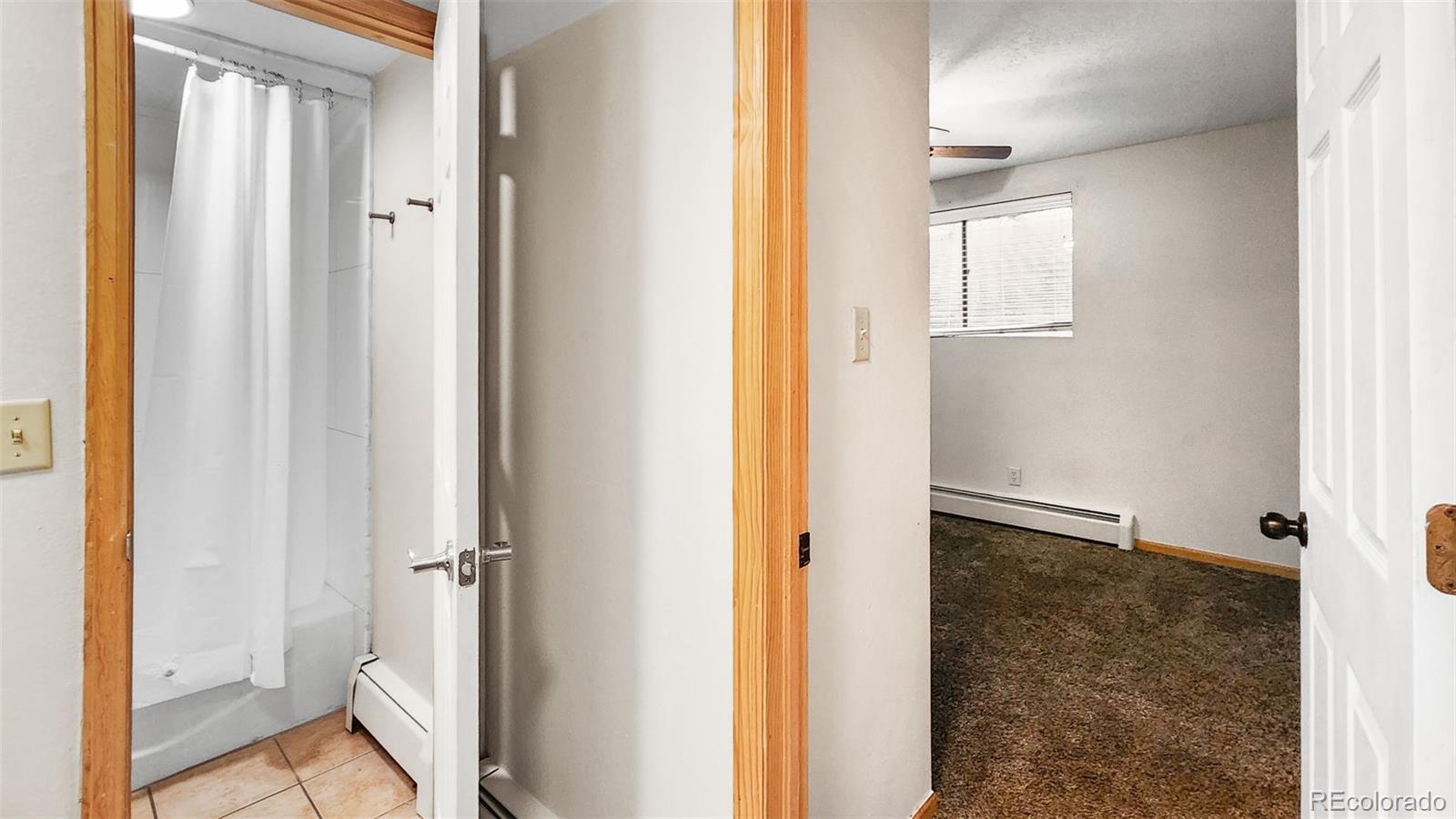MLS Image #7 for 893  straight creek drive,dillon, Colorado