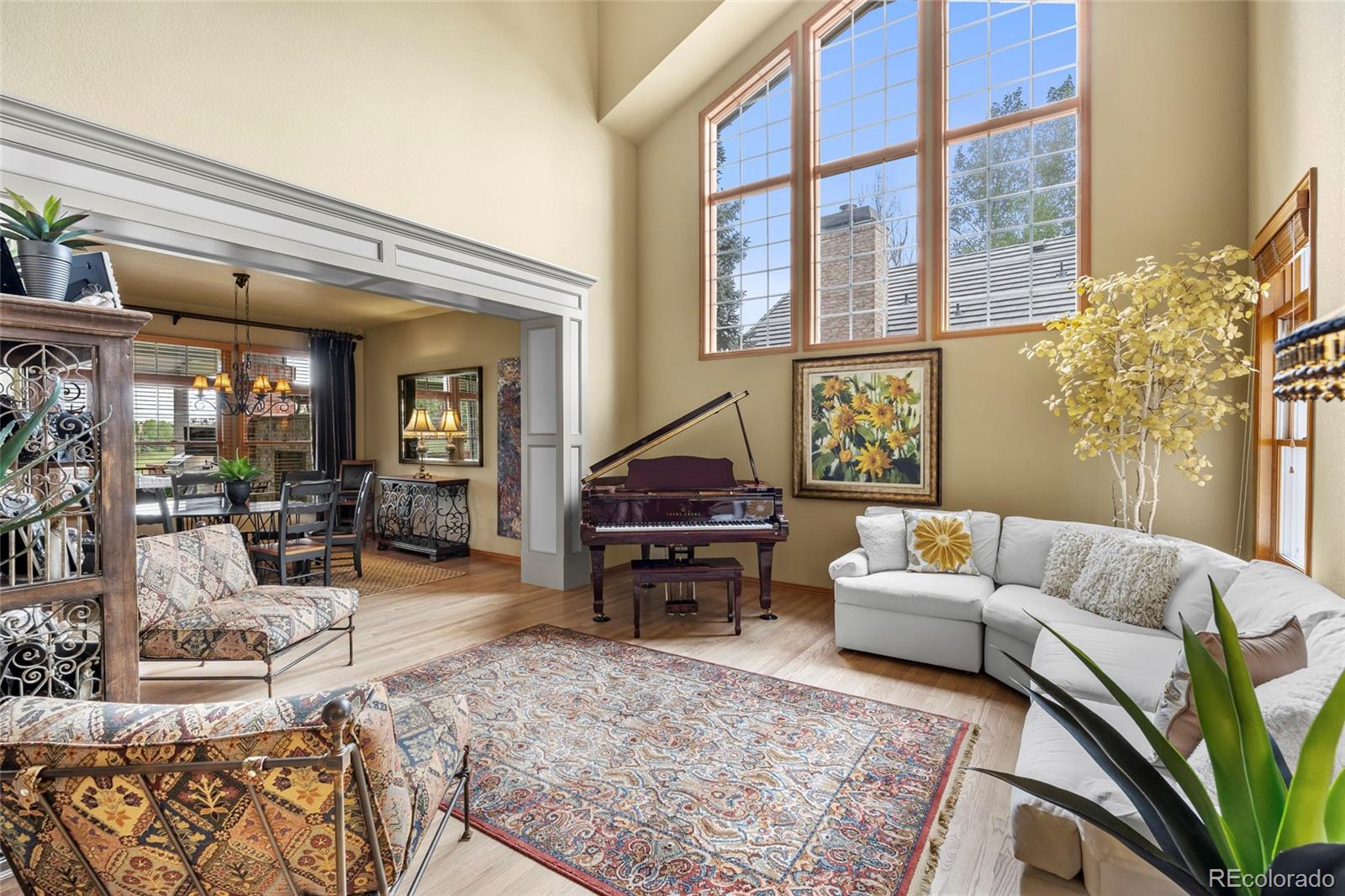 MLS Image #6 for 19  amaranth drive,littleton, Colorado