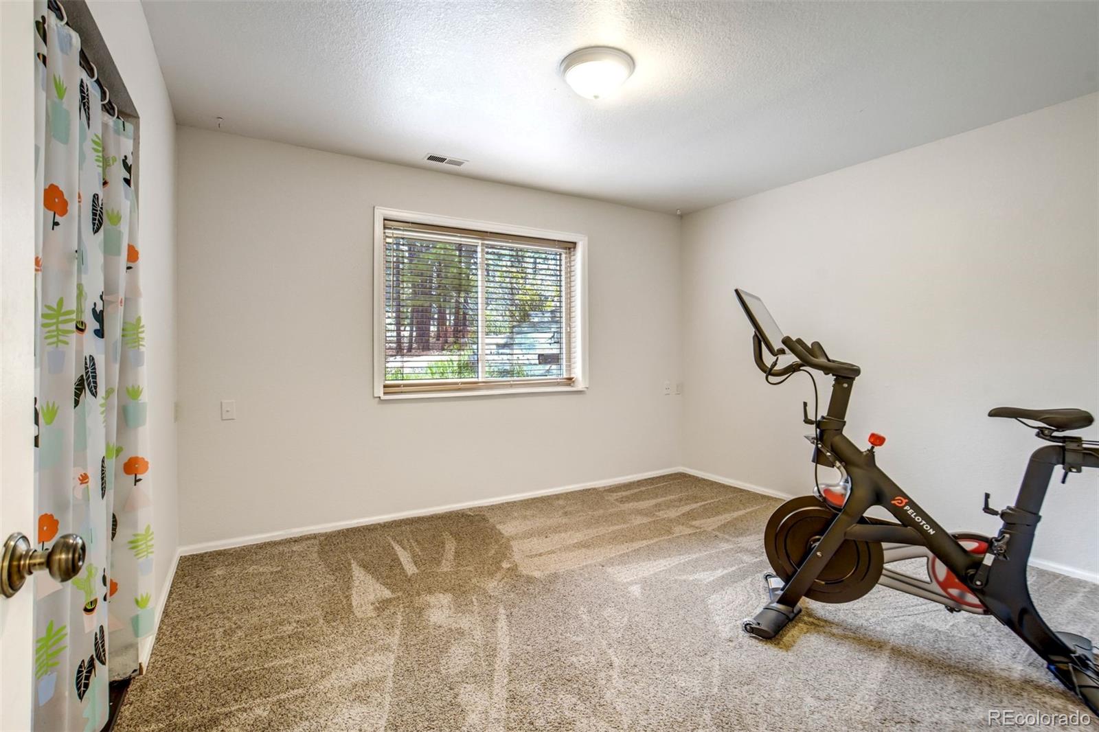 MLS Image #40 for 1155  becky drive,colorado springs, Colorado