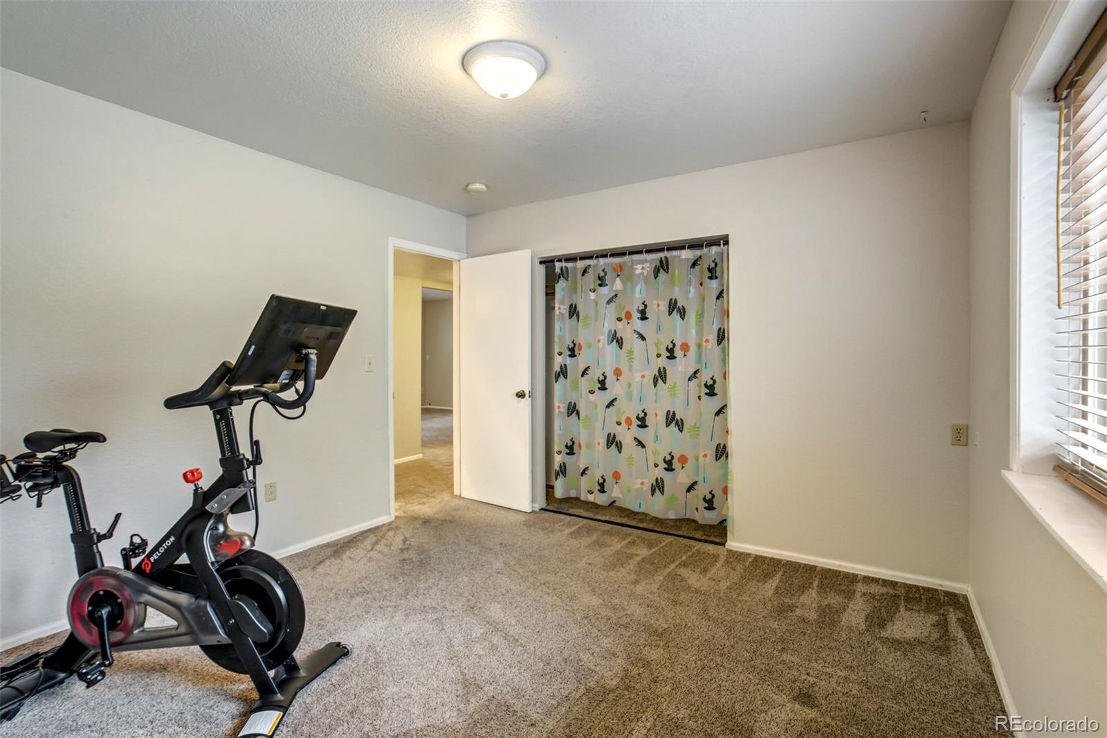 MLS Image #41 for 1155  becky drive,colorado springs, Colorado