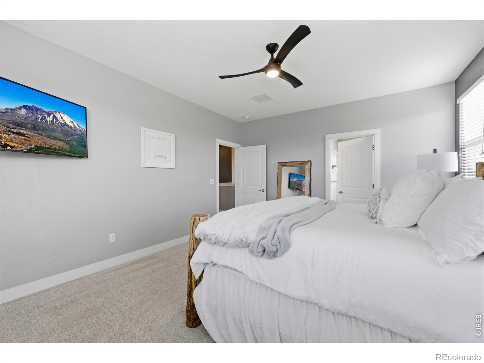 MLS Image #20 for 610  gore range drive,severance, Colorado