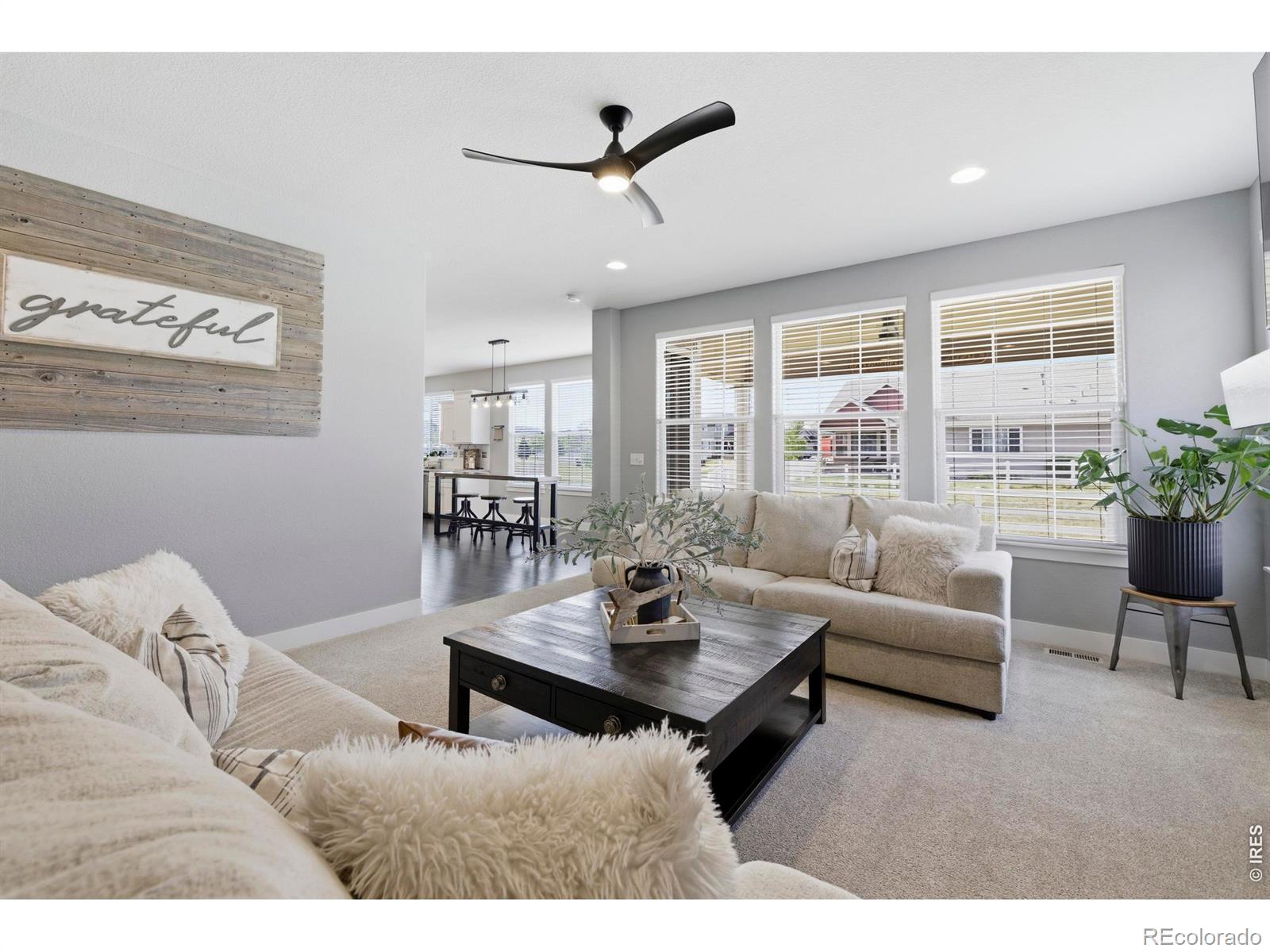 MLS Image #3 for 610  gore range drive,severance, Colorado