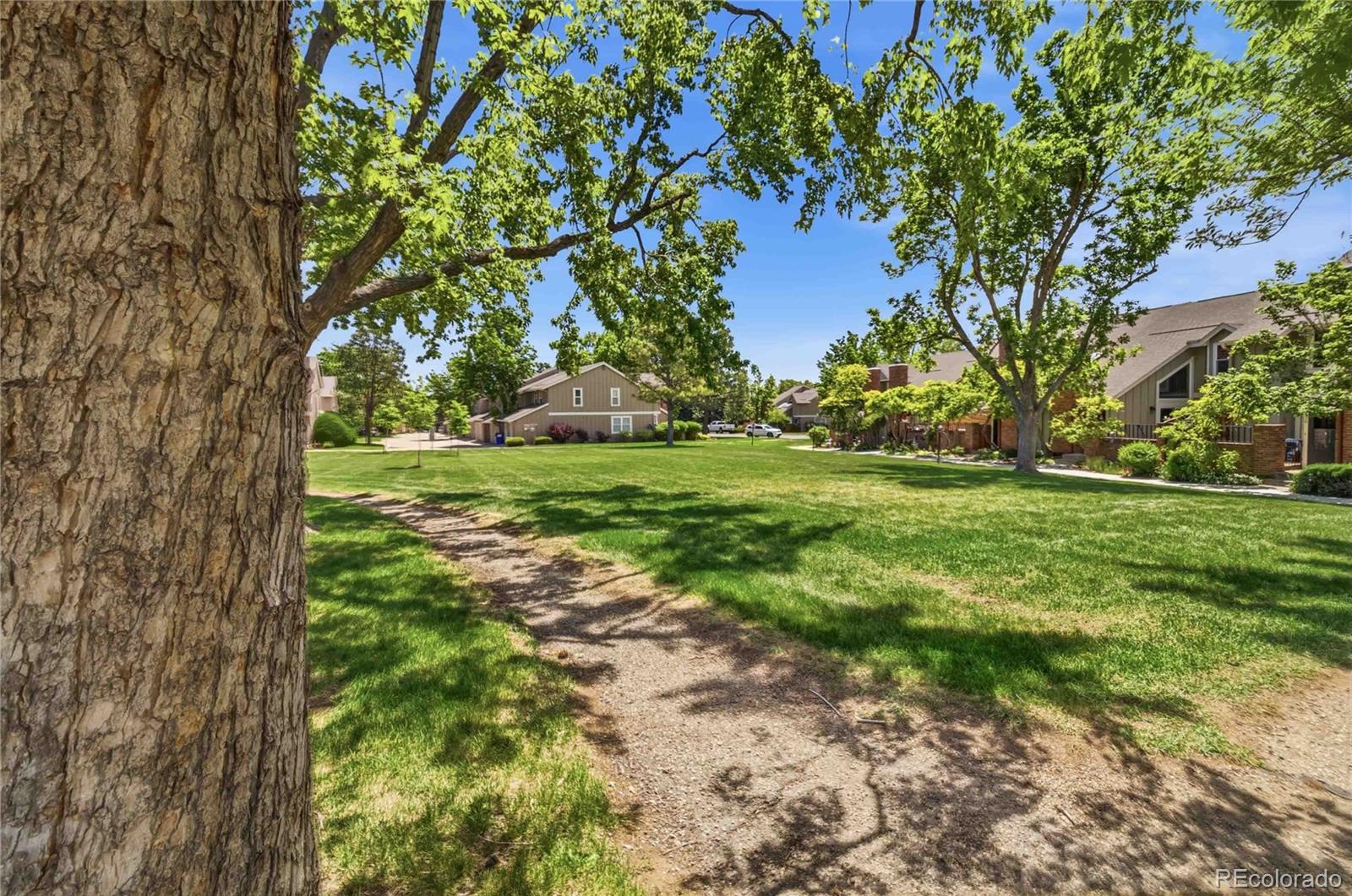 MLS Image #45 for 11813  elk head range road,littleton, Colorado
