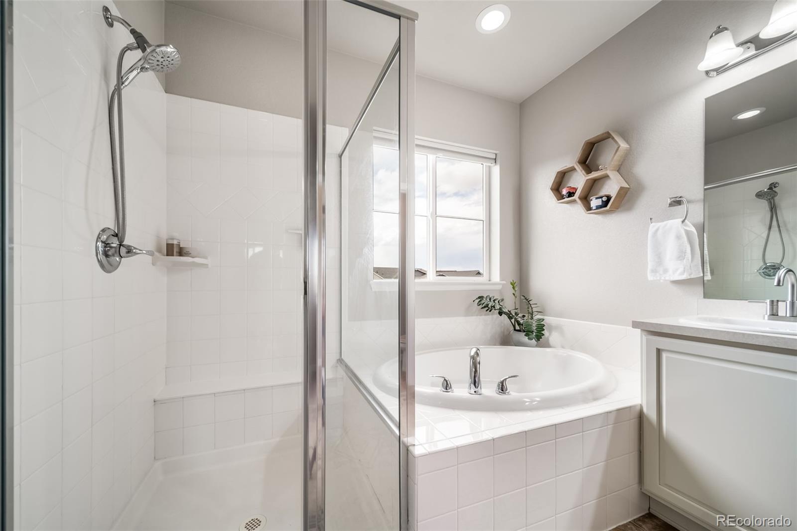 MLS Image #18 for 3572  ghost dance drive,castle rock, Colorado