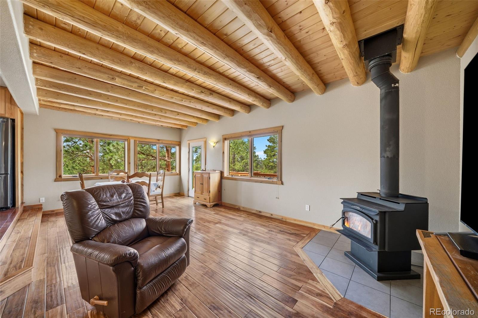 MLS Image #16 for 605  obsidian drive,florissant, Colorado