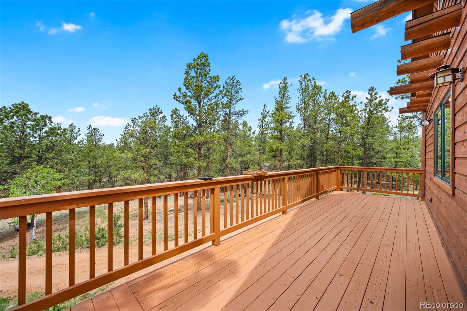 MLS Image #17 for 605  obsidian drive,florissant, Colorado