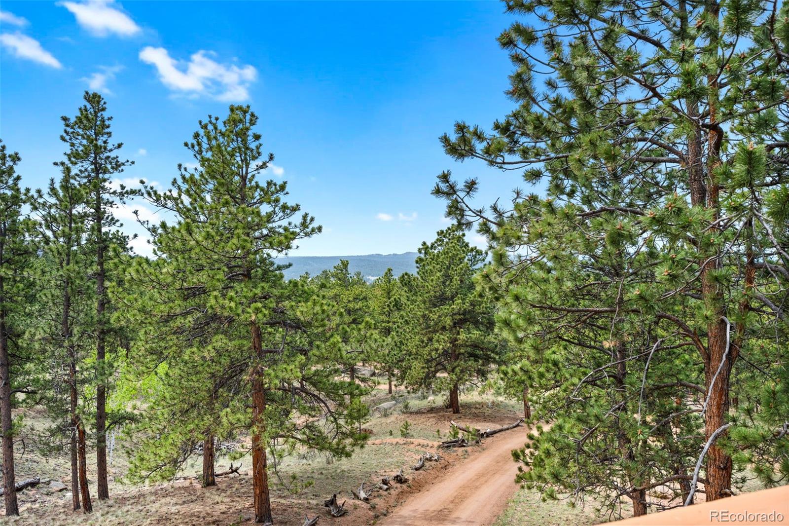 MLS Image #26 for 605  obsidian drive,florissant, Colorado
