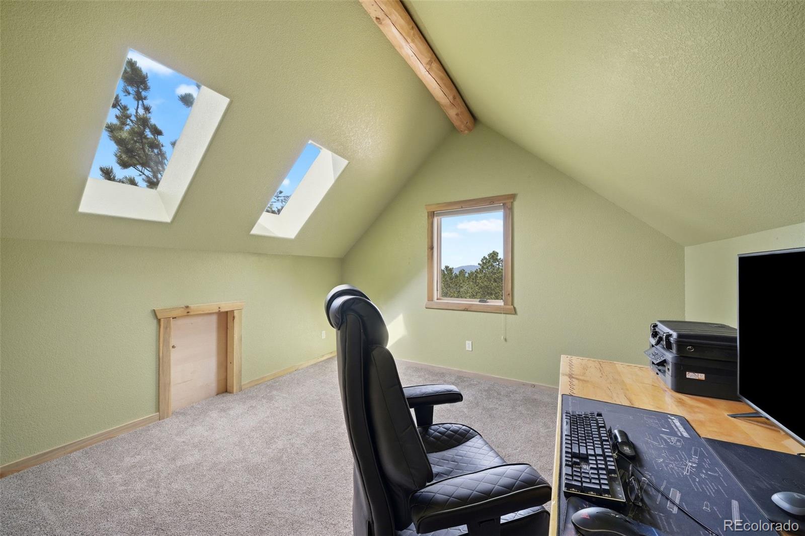 MLS Image #30 for 605  obsidian drive,florissant, Colorado