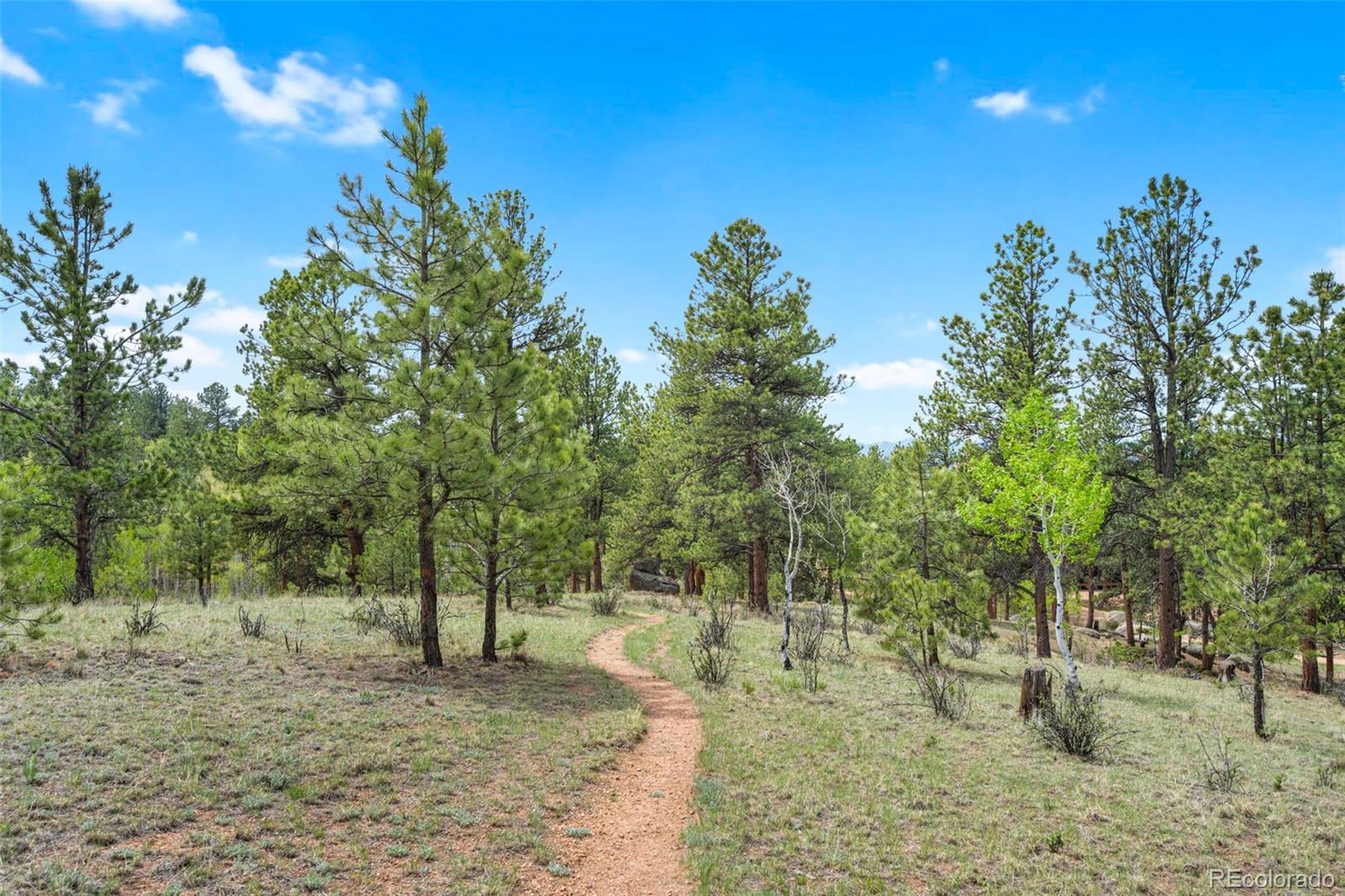 MLS Image #41 for 605  obsidian drive,florissant, Colorado
