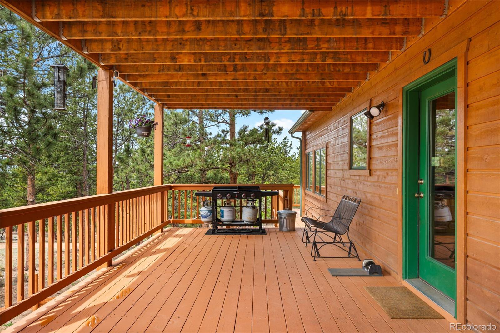 MLS Image #5 for 605  obsidian drive,florissant, Colorado