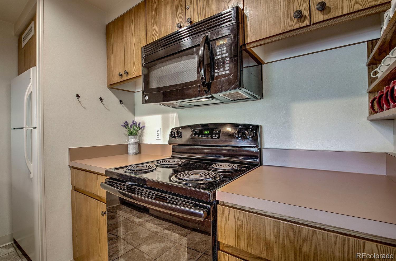 MLS Image #14 for 22097  saints john road,dillon, Colorado