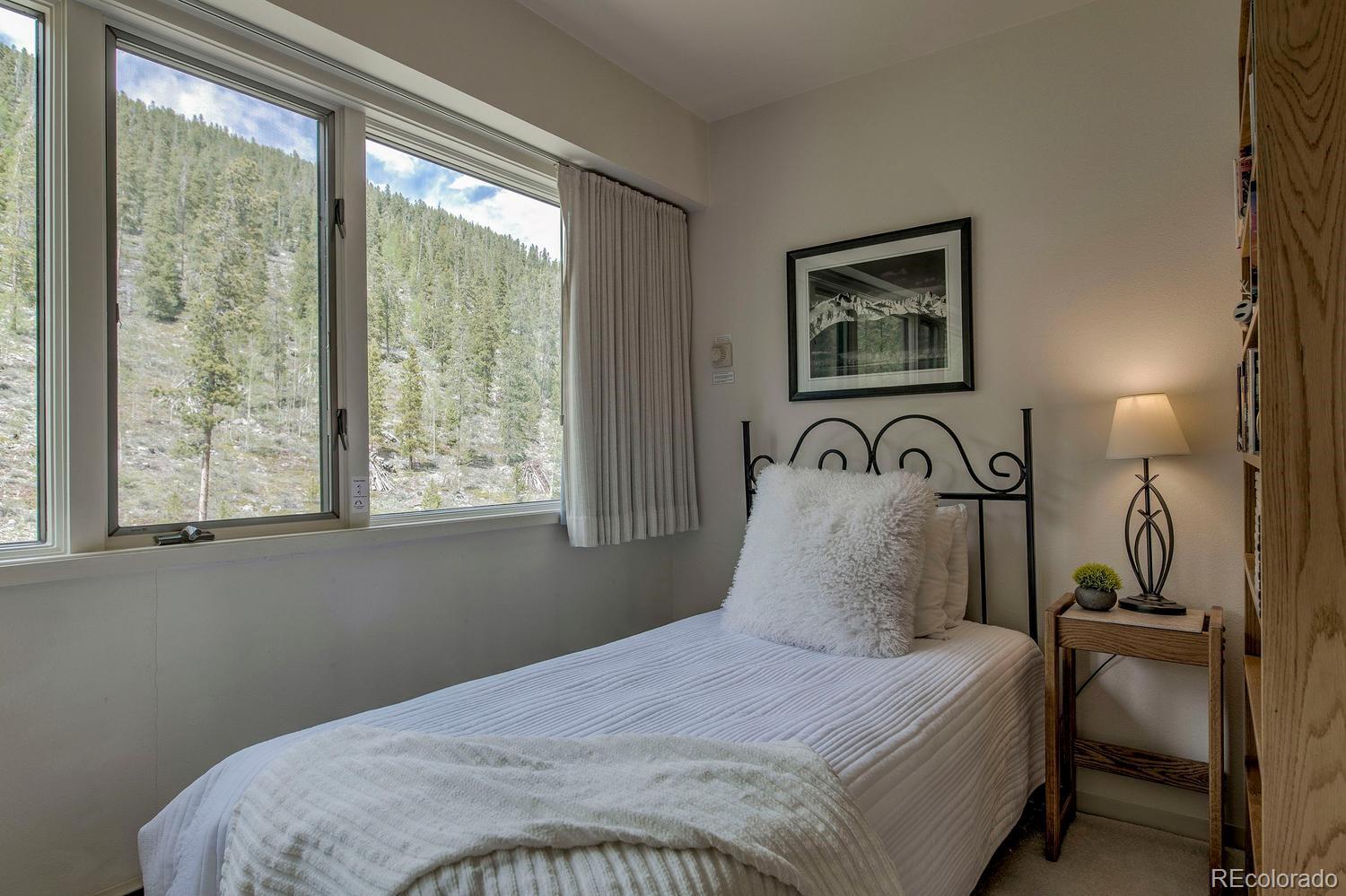 MLS Image #27 for 22097  saints john road,dillon, Colorado