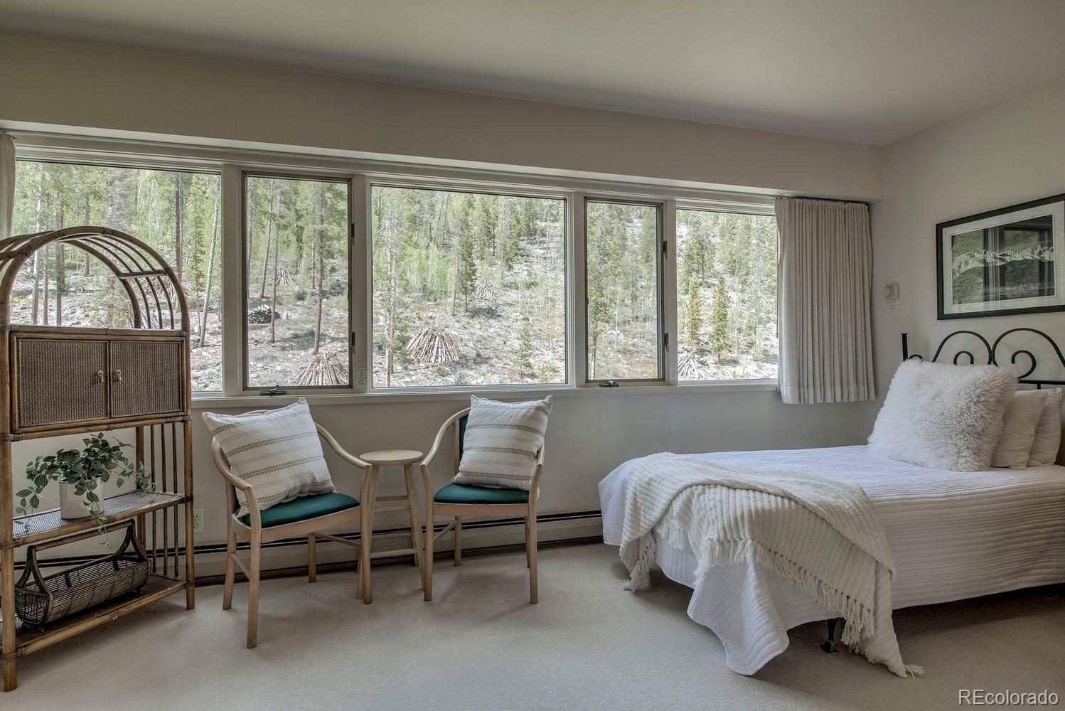 MLS Image #28 for 22097  saints john road,dillon, Colorado
