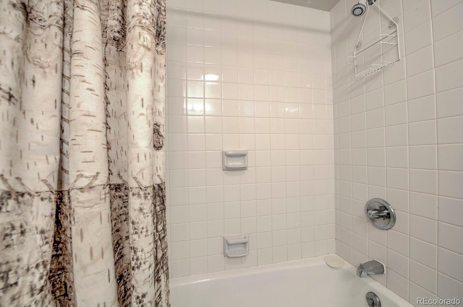 MLS Image #30 for 22097  saints john road,dillon, Colorado