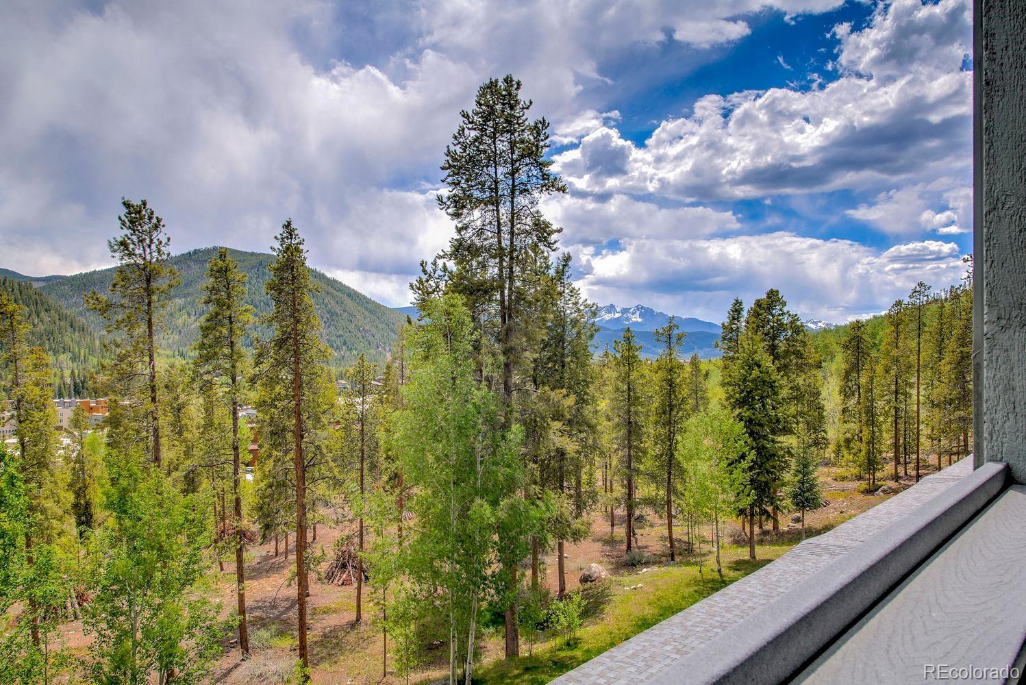 MLS Image #38 for 22097  saints john road,dillon, Colorado