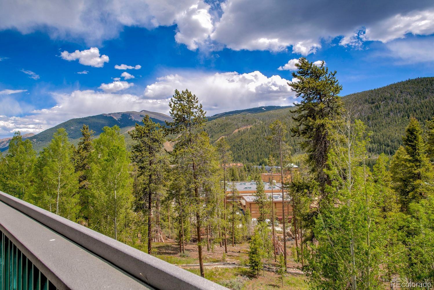 MLS Image #39 for 22097  saints john road,dillon, Colorado