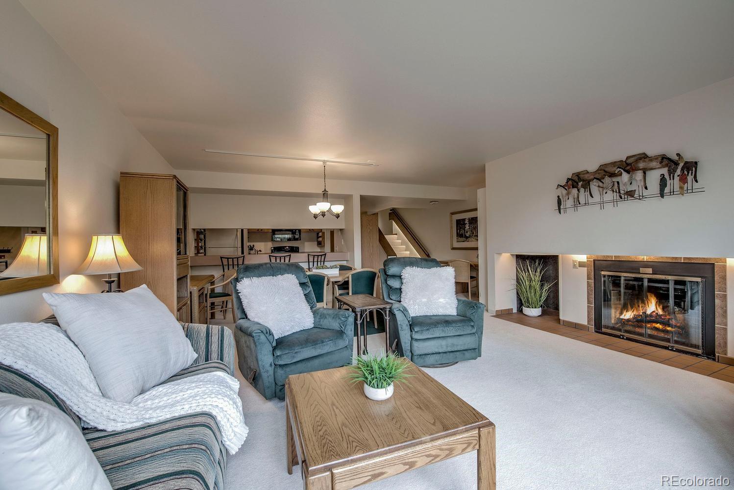 MLS Image #5 for 22097  saints john road,dillon, Colorado