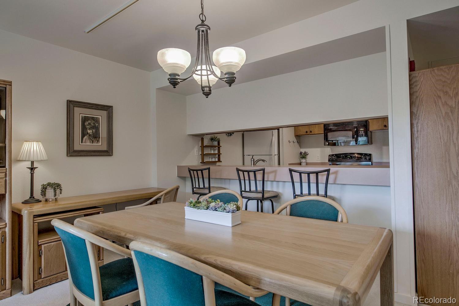 MLS Image #6 for 22097  saints john road,dillon, Colorado