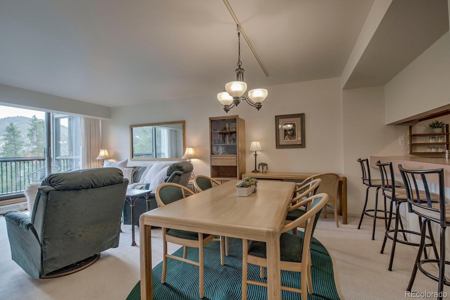 MLS Image #7 for 22097  saints john road,dillon, Colorado