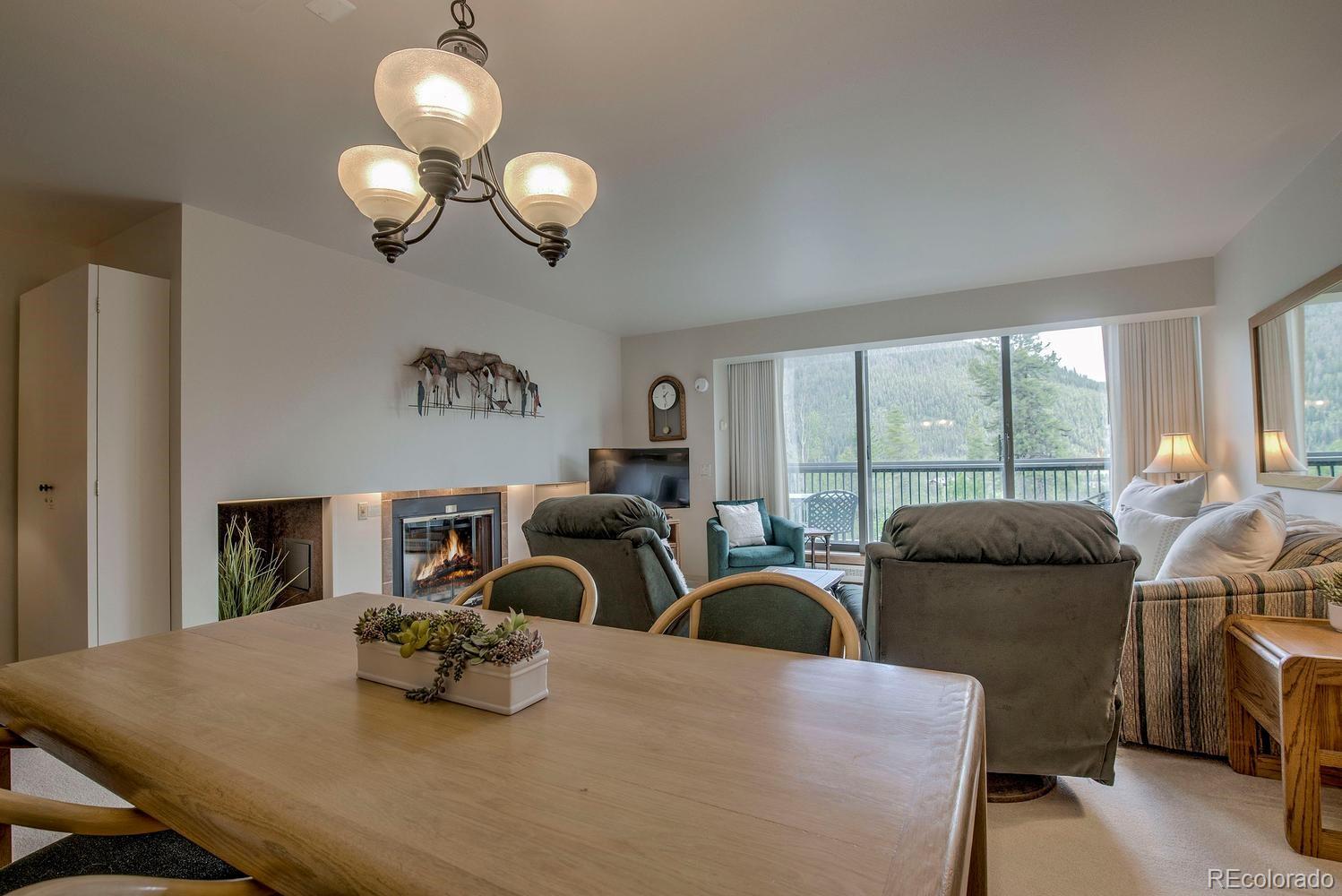 MLS Image #8 for 22097  saints john road,dillon, Colorado