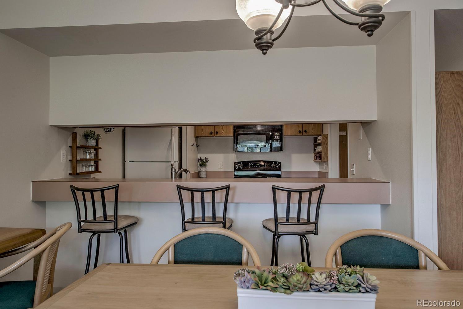 MLS Image #9 for 22097  saints john road,dillon, Colorado