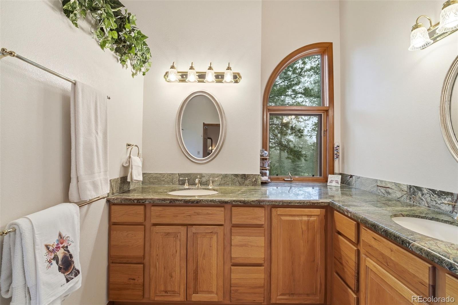 MLS Image #15 for 17675  charter pines drive,monument, Colorado