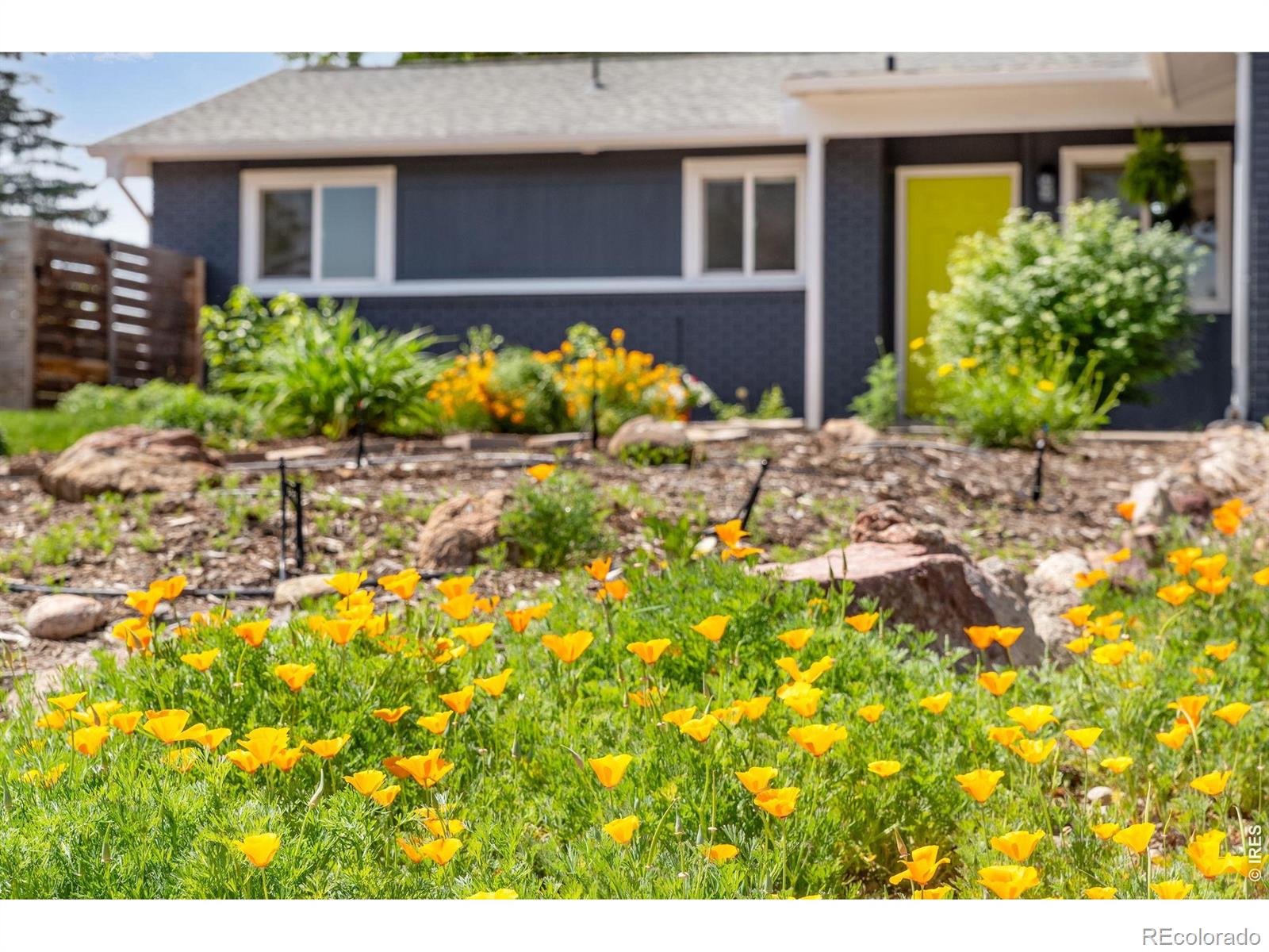 MLS Image #6 for 2501  lanyon drive,longmont, Colorado