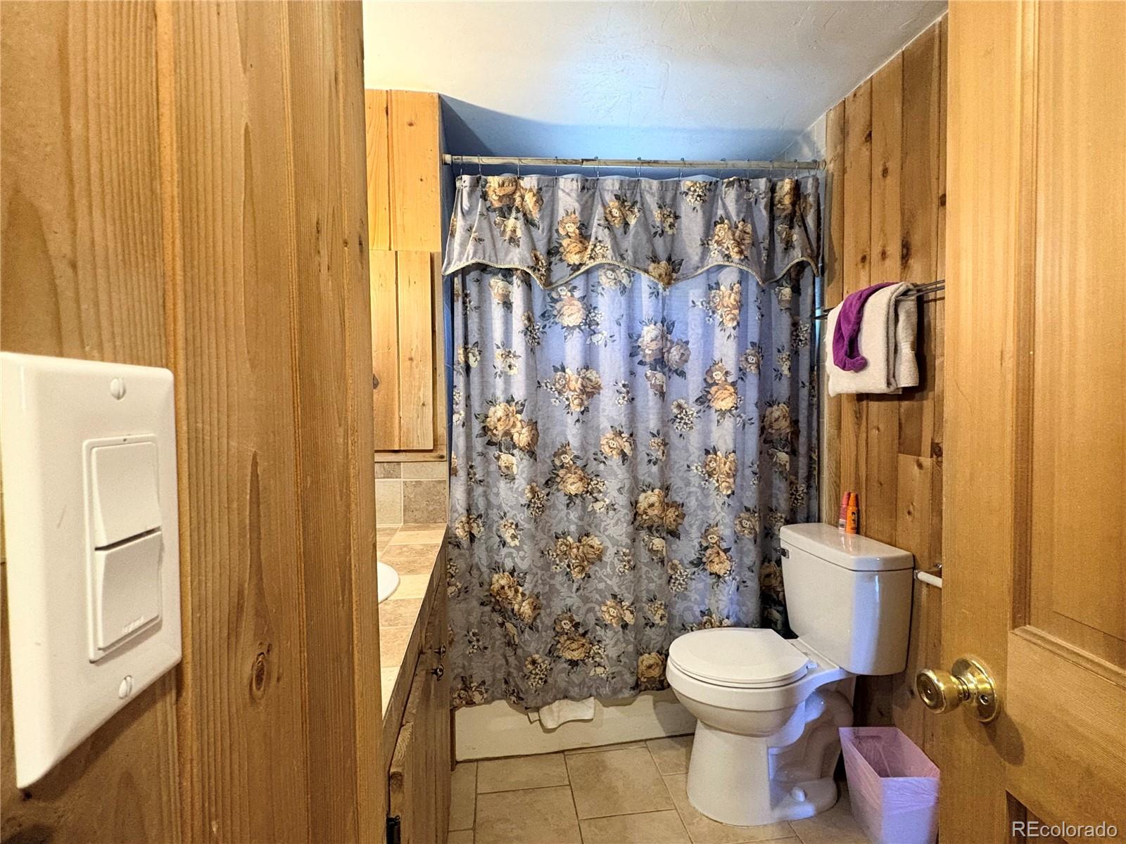 MLS Image #21 for 506 e 9th street,leadville, Colorado