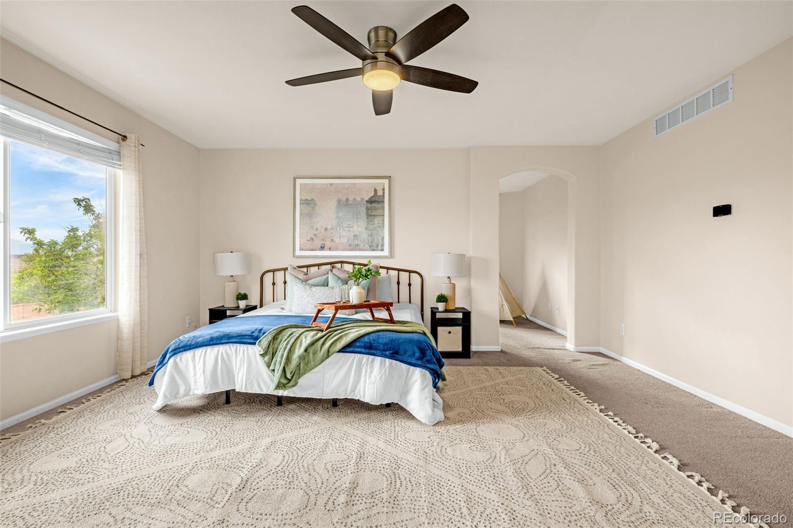 MLS Image #14 for 6919  prairie wind drive,colorado springs, Colorado
