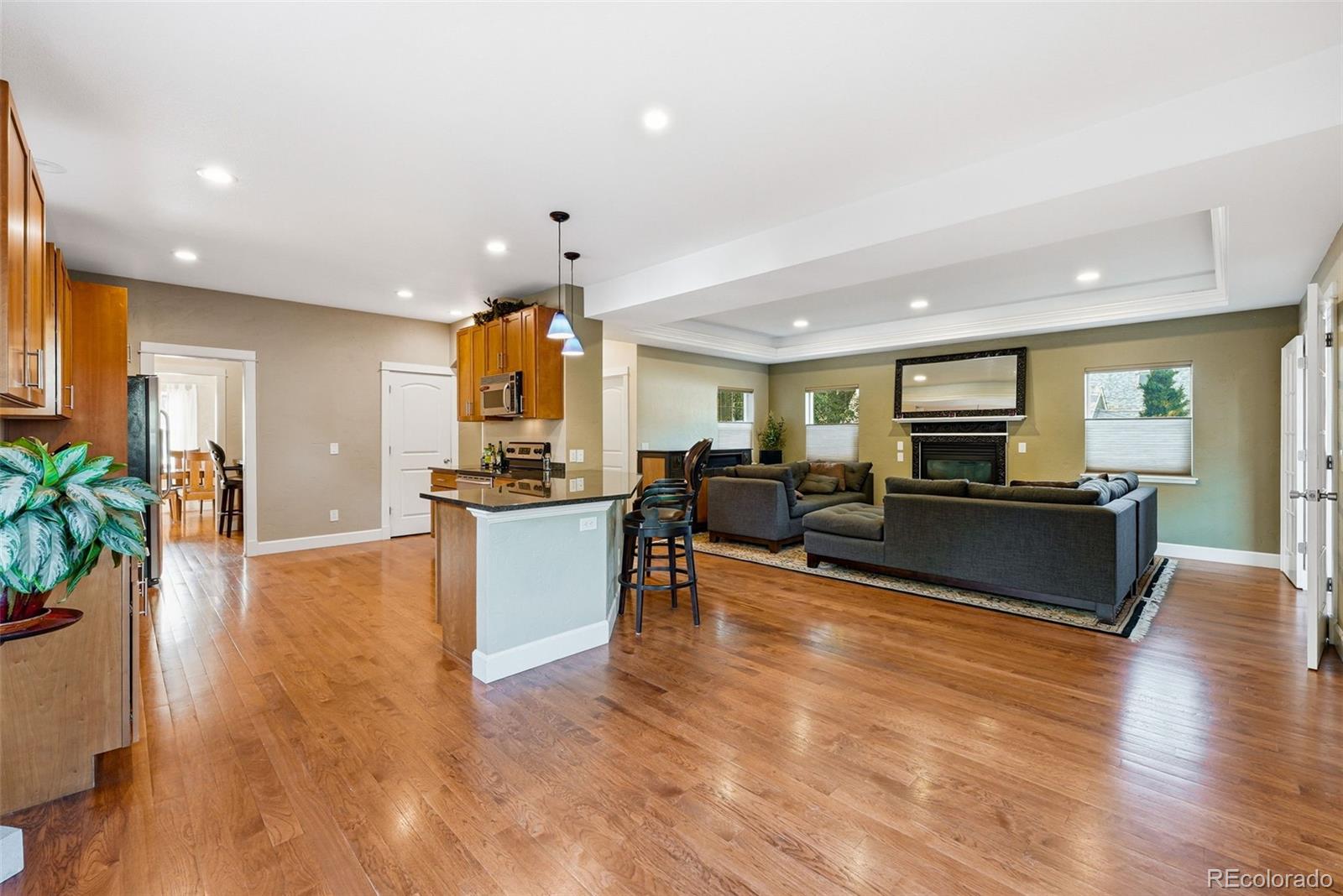 MLS Image #10 for 3960  winona court,denver, Colorado