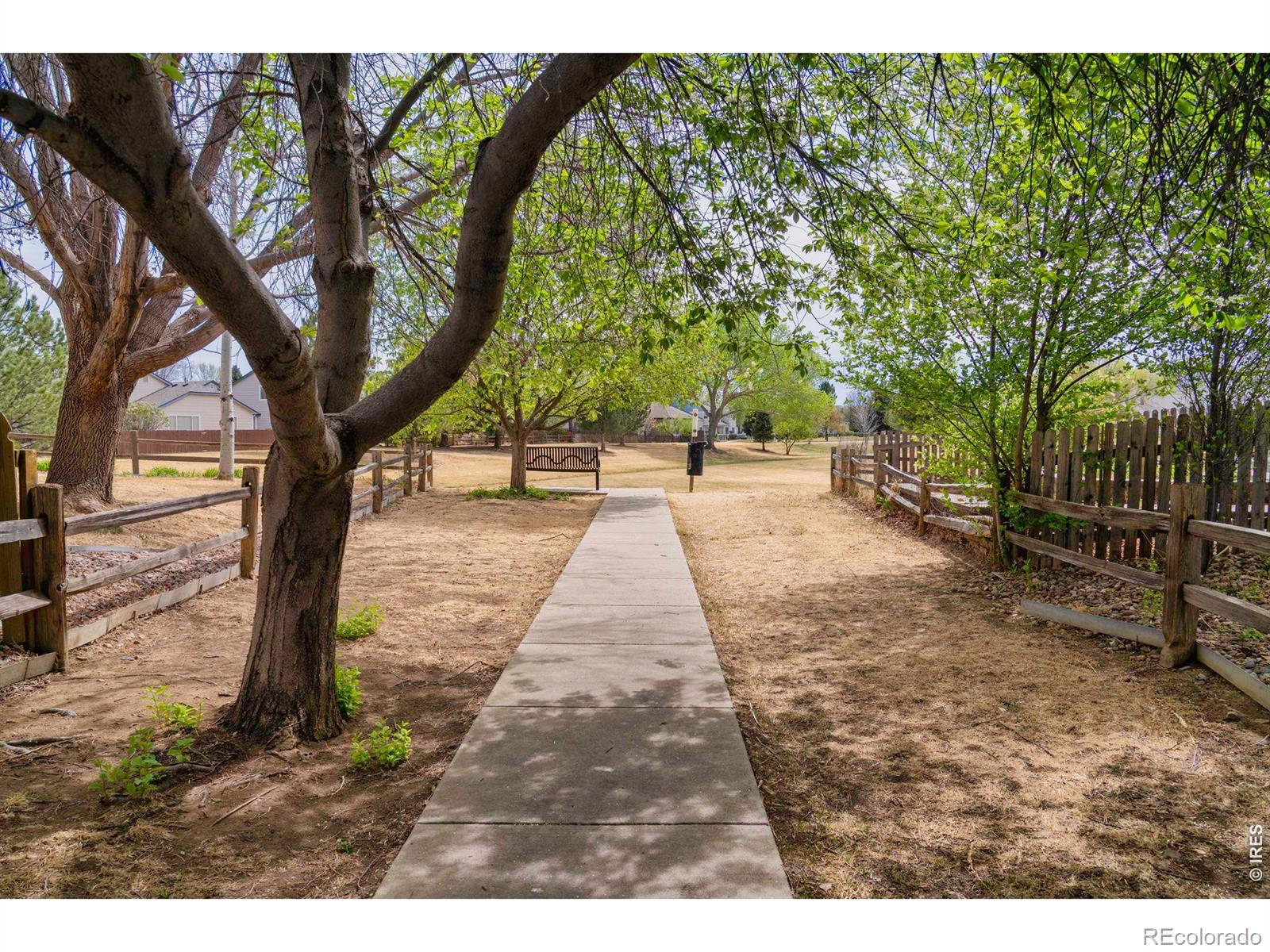 MLS Image #28 for 1327  wilkerson way,longmont, Colorado