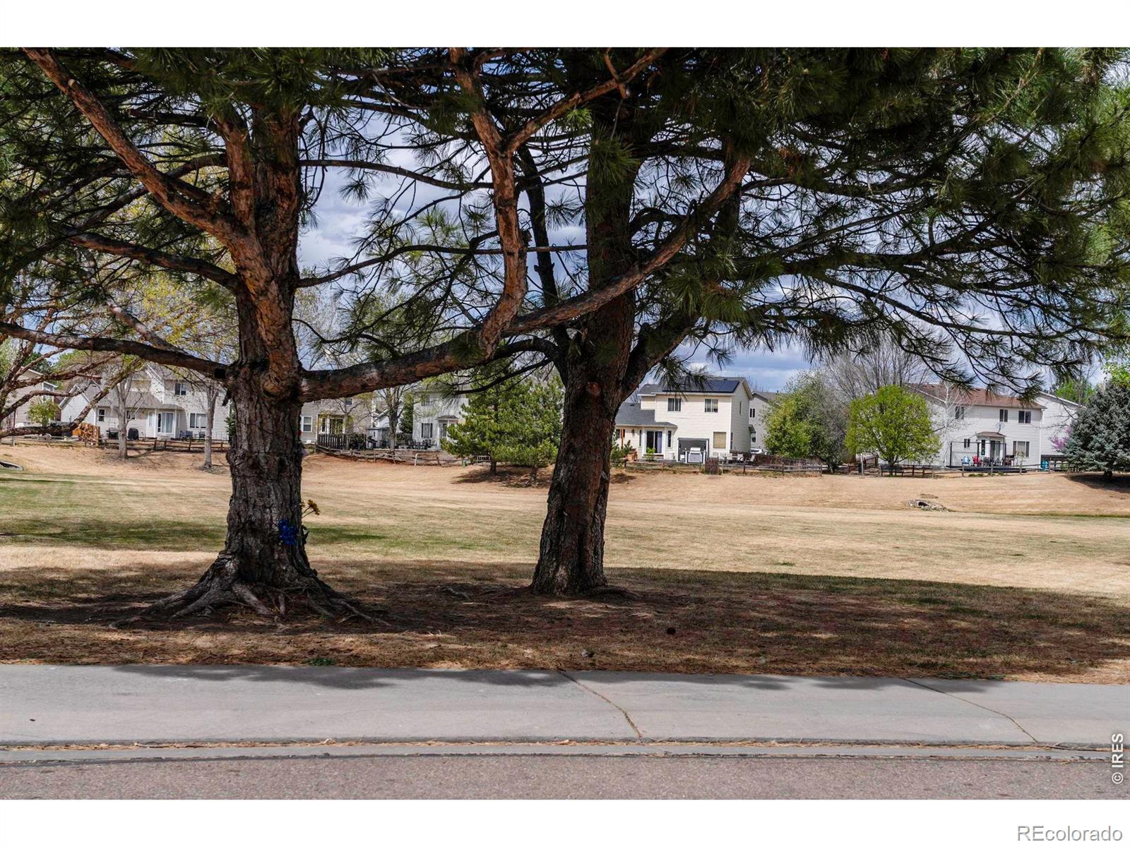MLS Image #30 for 1327  wilkerson way,longmont, Colorado