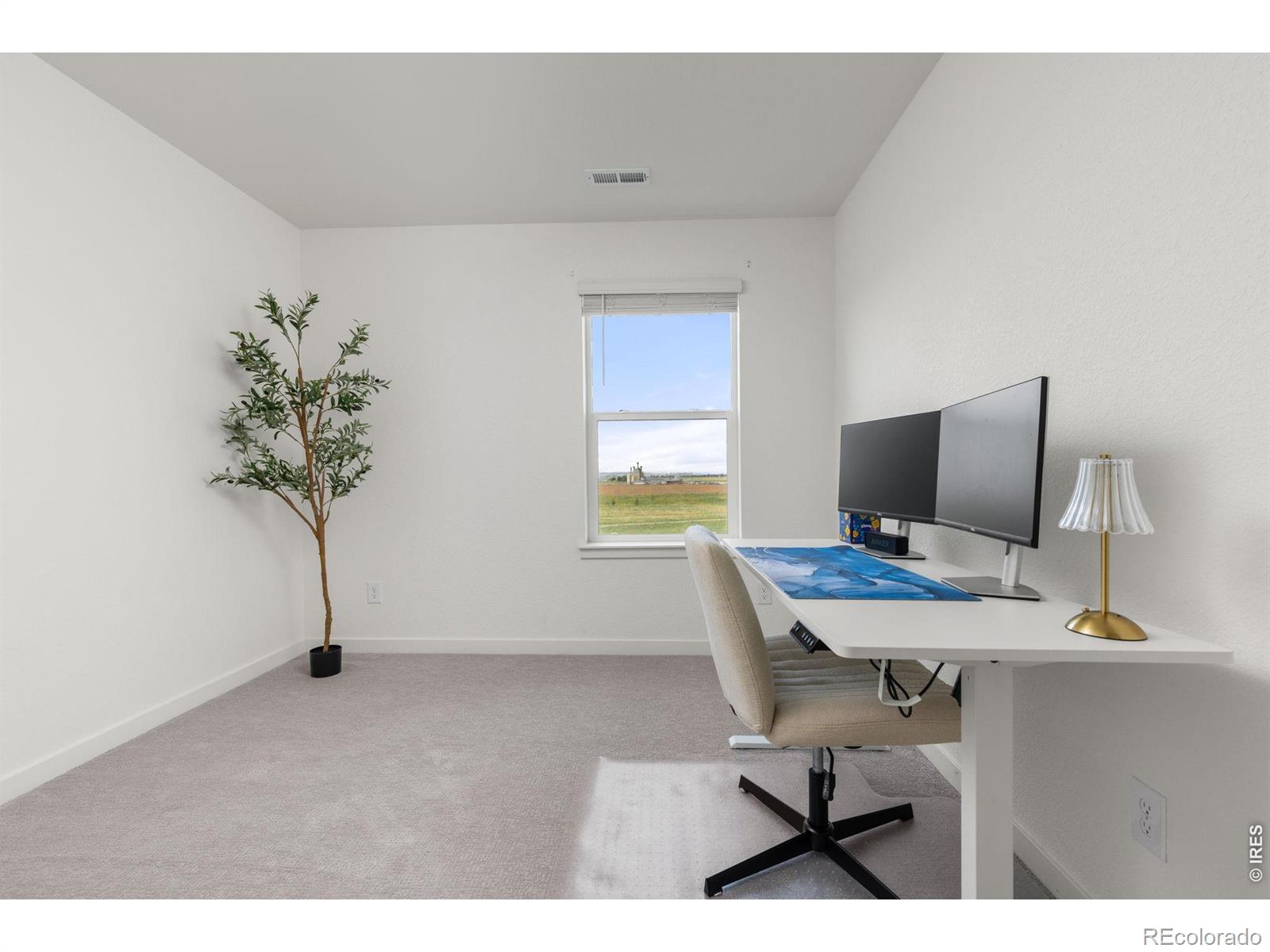 MLS Image #22 for 2410  pineywoods street,mead, Colorado