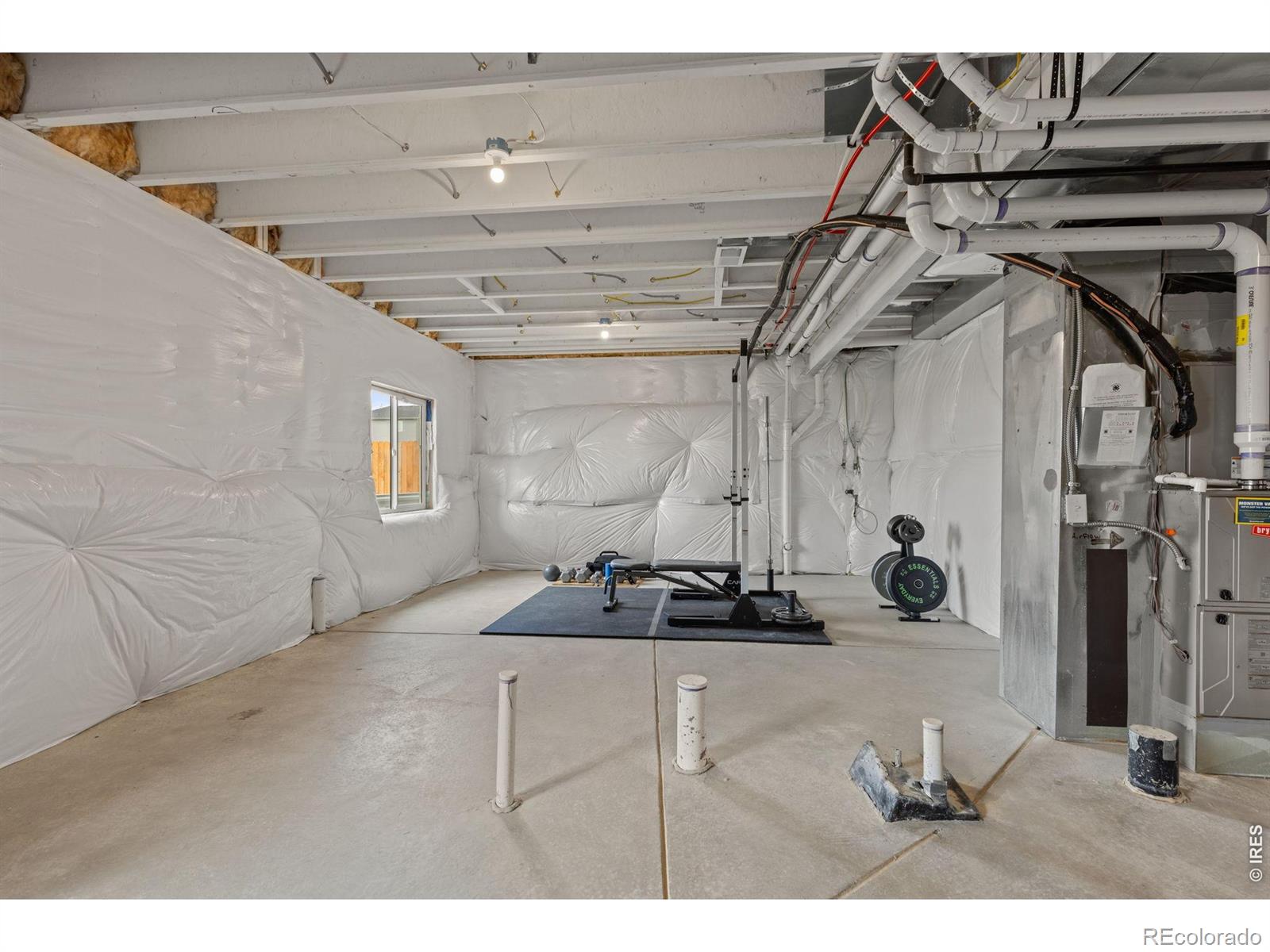MLS Image #28 for 2410  pineywoods street,mead, Colorado